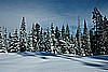 050. Perfect snow....now let's f### it up!.jpg