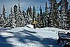 054. Almost knee deep in powder..jpg