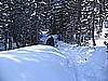 085. Enjoying the fluff..jpg