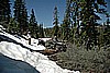 32. Shortly After Hopping Over This Downed Log..jpg
