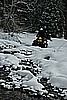 45. Back down to the bottom, Keith crosses the creek..jpg