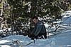 37. As Dan Wraps a Tree With a Strap..jpg