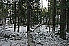 62. Half Frozen Pond, Can't Drive Around It!.jpg